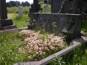 Undercliffe Cemetery grave