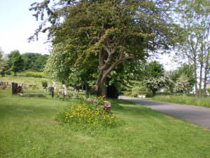undercliffe cemetery grave plots